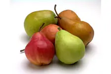 Tansiyonu Ne Düşürür?